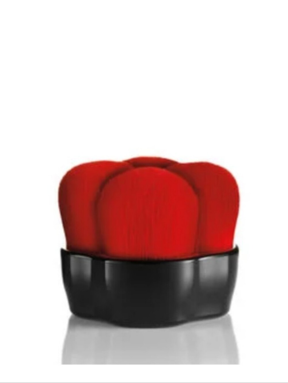 Nib! Shiseido HANATSUBAKI HAKE Polishing Face Brush